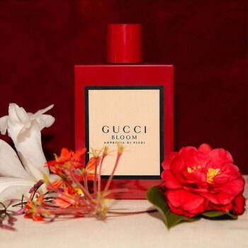 Gucci Bloom Ambrosia di Fiori EDT
